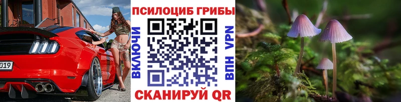 Галлюциногенные грибы ЛСД  Нюрба 