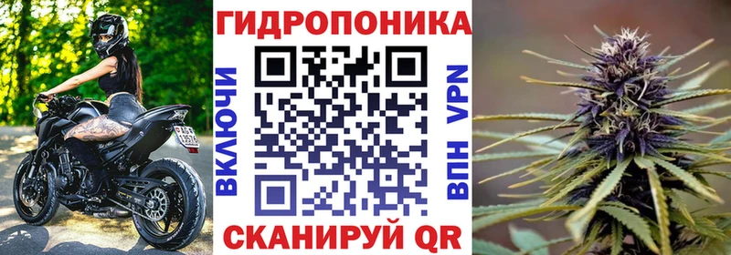 где продают   Нюрба  Конопля Amnesia 